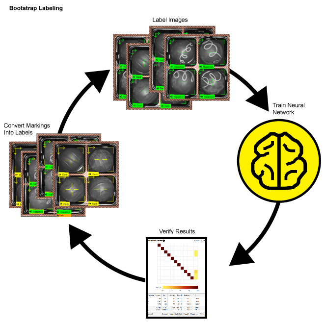 Green Classify High Detail Quick - Create Label