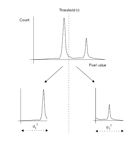 Search Blob Theory Histogram WGV split