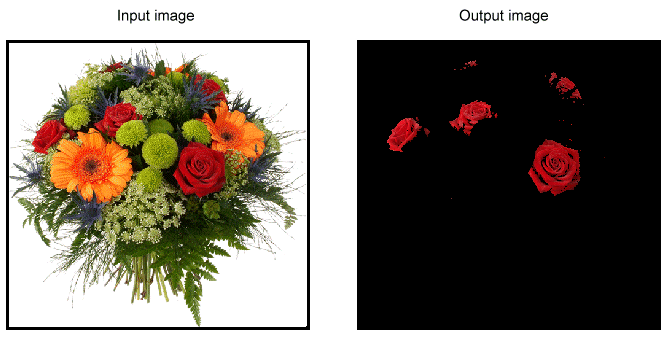 Image Processing Color Walkthrough Color Extractor Sample Image