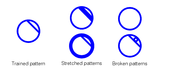 Search PMAlign Theory Pat Max pattern variations