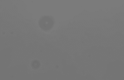 Acquisition General Theory 16 Bit Images Low Contrast