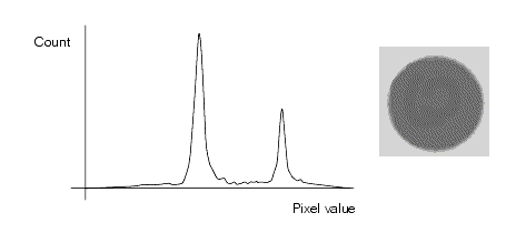 Search Blob Theory Histogram WGV splash