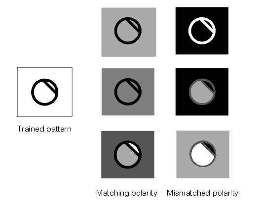 Search PMAlign Theory Pat Max pattern polarity
