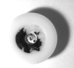 Search PMAlign Walkthrough Extract Shapes badimage