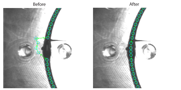 Search_BeadInspect_Theory_BeadInspect_FixedCoarsePath