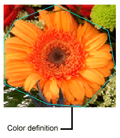 Image Processing Color Theory Color Extractor Wide Range