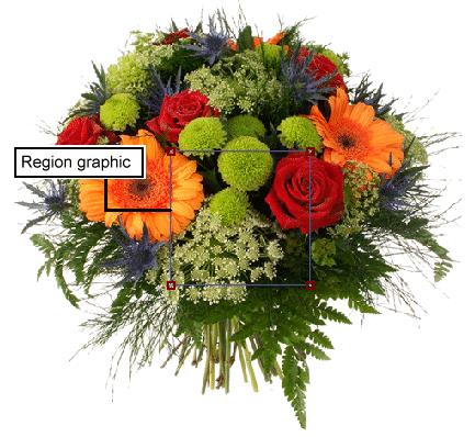 Image Processing Color Walkthrough Color Extractor Default Region Graphic