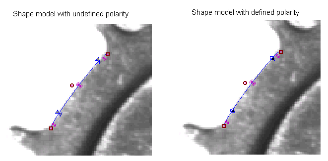Search PMAlign Theory Shape Polarity Polarity Defined Polarity