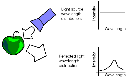 Acquisition Color Theory Color Acquisition Green Apple