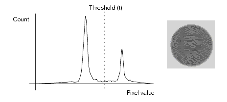 Search Blob Theory Histogram WGV computed