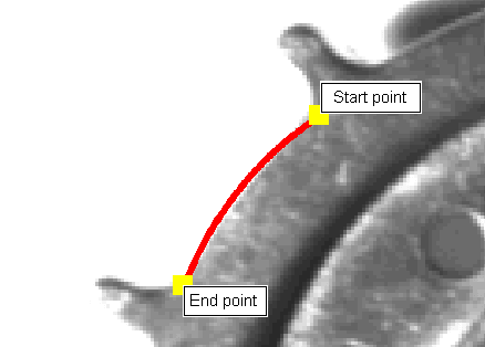 Search PMAlign Theory Shape Polarity Polarity Arc Shape