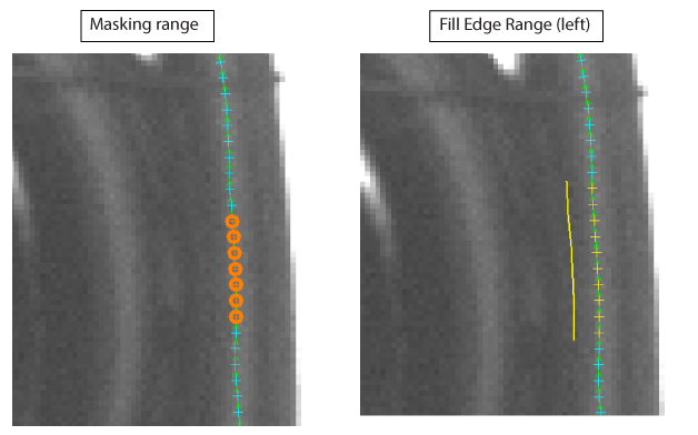 CognexEdgeInspect.BeadInspect.MaskOrEdgeCalipers