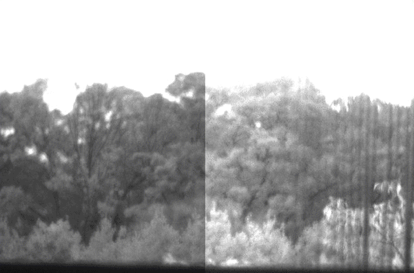 Acquisition GigEVision Walkthroughs Configure Dual Taps Unbalanced Taps