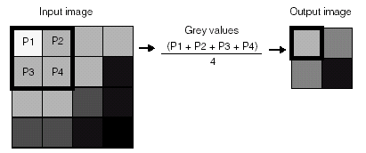 Cognex Image Processing One Image Control Spatial Averaging