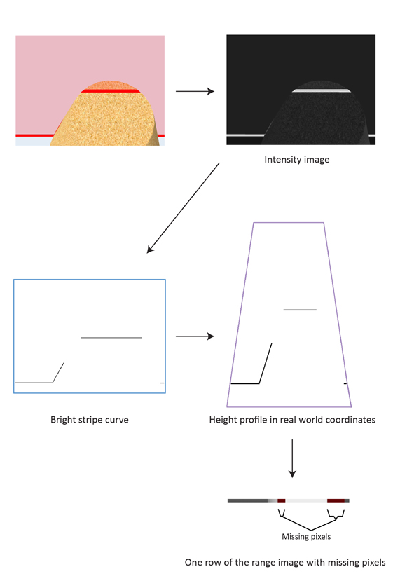 Image Processing Profile Plus Theory Working With Range Images back stripe