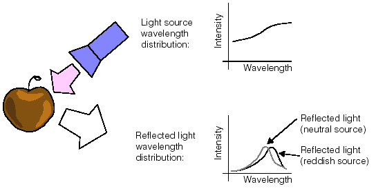 Acquisition Color Theory Color Acquisition Green Apple 2